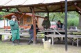 /album/kepgaleria-kepek/bal-4050-jpg/